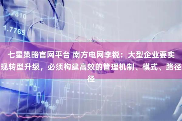 七星策略官网平台 南方电网李锐：大型企业要实现转型升级，必须构建高效的管理机制、模式、路径