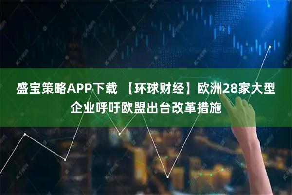 盛宝策略APP下载 【环球财经】欧洲28家大型企业呼吁欧盟出台改革措施