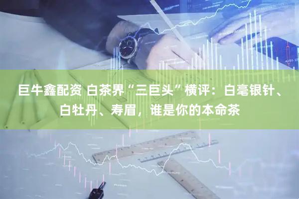 巨牛鑫配资 白茶界“三巨头”横评：白毫银针、白牡丹、寿眉，谁是你的本命茶